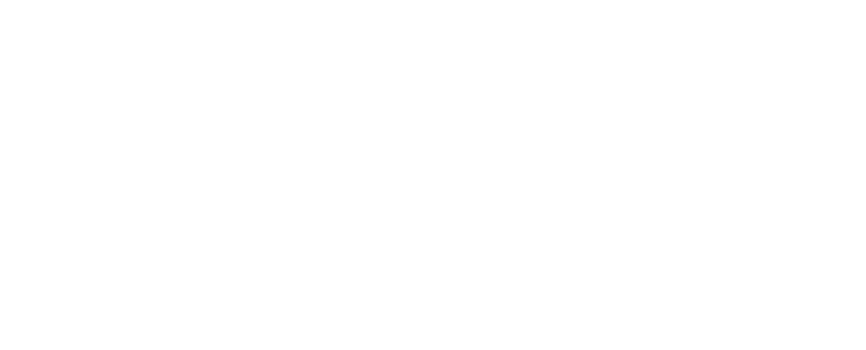 Smart